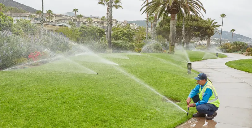 Overcoming Irrigation Damage - Related
